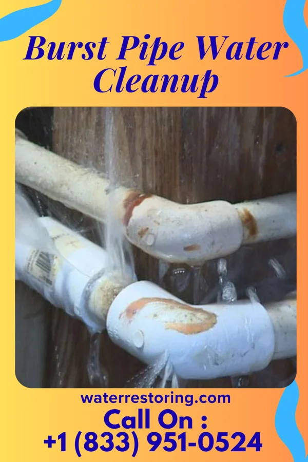 Burst Pipe Water Cleanup in Purcell, MO