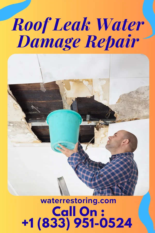 Roof Leak Water Damage Repair in Purcell, MO