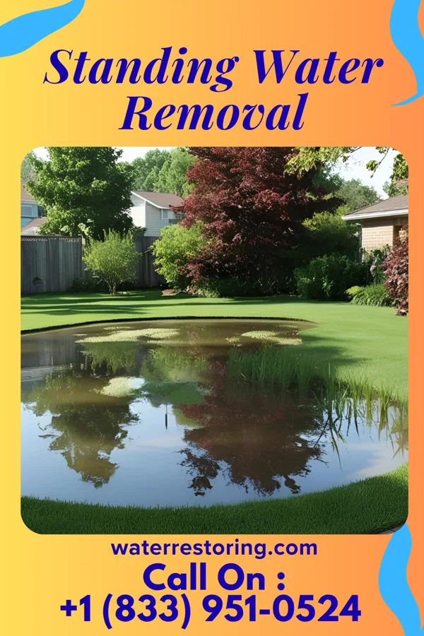 Standing Water Removal in Purcell, MO